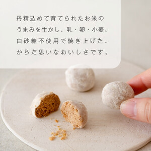 グルテンフリー 山田錦 ボール 【箱入り4種アソート（和三盆/カカオ/抹茶/えちご姫（いちご） ）】 田田田堂 米粉 お菓子 クッキー スイーツ 小麦 乳 卵 白砂糖 不使用 アレルギー 対応 無農薬 米 ビーガン ポルボローネ