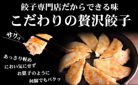 【定期便6ヶ月コース】神戸名物 味噌だれ餃子2種／計100個（50個×2パック） ×6回