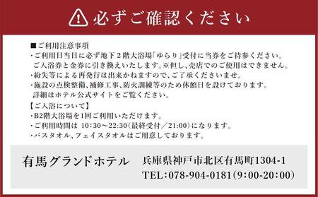 有馬グランドホテル　ペア日帰り入浴券≪金券付き≫