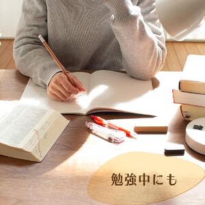 お~いお茶エコティーバッグほうじ茶 1ケース(20袋×10箱)