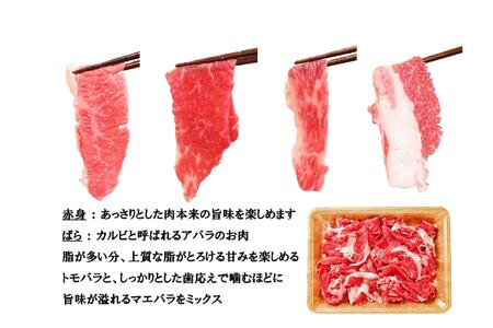 一頭買い 神戸牛 訳あり 切り落とし500ｇ（500ｇ×1パック） 神戸キングミート