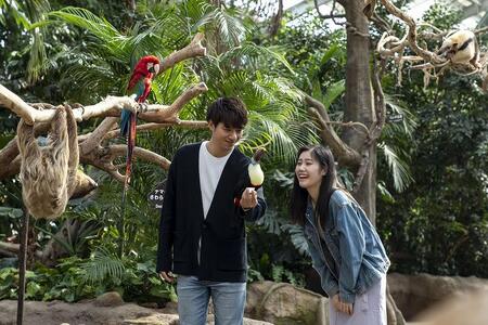 神戸どうぶつ王国 入園券(3名様分)