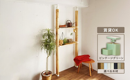 インテリア LABRICO 棚 セット M ワンバイエイト アジャスター ヴィンテージグリーン 平安伸銅工業 ツーバイ材 ツーバイフォー 棚板 棚受け 壁 壁面 壁面収納 家具 収納 DIY 突っ張り つっぱり棚 固定 賃貸 木材 平安伸銅 兵庫 兵庫県 姫路 姫路市 ステインブラック