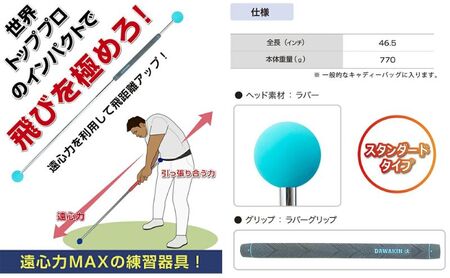 リンクスゴルフ ゴルフ練習器具 ダワ筋スティック スタンダードタイプ