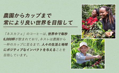 インスタントコーヒー ネスカフェ ゴールドブレンド 香り華やぐ エコ＆システムパック 95g×12個 ネスレ