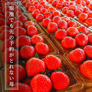 空浮いちご 4パック「北海道・沖縄・離島へのお届け不可」 果物 フルーツ 姫路市産 ハウス育ち デザート おやつ 食後 お菓子作り ケーキ作り