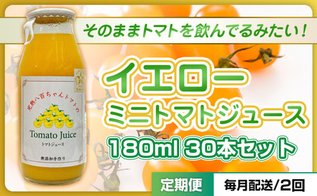 【定期便・全2回】イエローミニトマトのトマトジュース 180ml 30本セット × 2回｜国産 姫路産 八百ちゃんトマト 100%ストレート