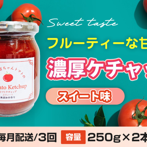 【定期便・全3回】濃厚ケチャップ スイート味 250g 2本セット × 3回｜国産 姫路産 八百ちゃんトマト 着色料・保存料不使用