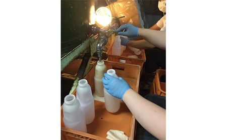 【定期便】甘酒2本セット（3か月） 飲料 ドリンク 加工食品 