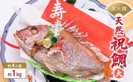 炭火焼　天然祝鯛（大）約1kg  【約4人前】 / 焼鯛 尾頭付き 魚貝類 タイ 真鯛
