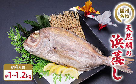 播州名物　天然鯛の浜蒸し 約1kg～1.2kg 【約4人前】/ 祝い鯛 お食い初め 長寿祝い 魚貝類 タイ マダイ 真鯛