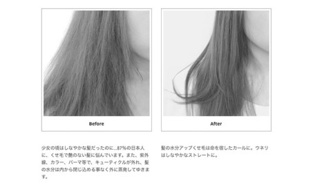 SBCP生ミネラル ヘアオイル 男女兼用 75g 美容 プロ用ヘアオイル