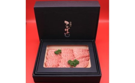 姫路和牛4等級5等級モモ焼肉用 1200g お肉 牛肉 もも肉 バーベキュー BBQ 黒毛和牛 夕飯 食材 国産 冷凍 兵庫県産 産地直送 1.2kg