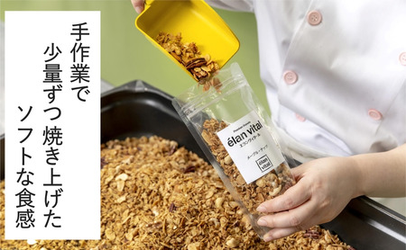 手作り グラノーラ 9個セット フルーツ ナッツ ココナッツ バナナ レーズン ベリー チョコ エランヴィタール / 朝食 白砂糖不使用 お中元 お歳暮 母の日 ギフト / 【雑穀・加工食品・お菓子・詰合せ・シリアル】 オーツ麦