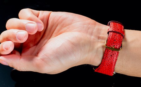 腕時計 バンド 姫路黒桟革 Apple Watch 高級レザーバンド 45mm 替えベルト 革 レザーバンド アップルウォッチ スマートウォッチ 交換 交換ベルト 替えバンド  藍染×ブラック