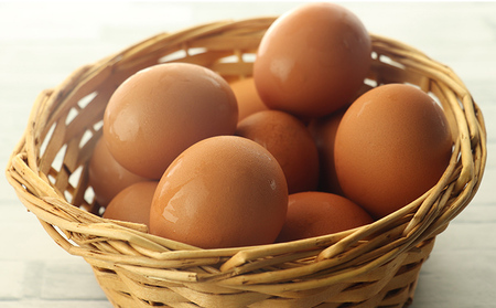 「うふっ」至福のぷりん＆カステラセット お菓子 スイーツ おやつ デザート 洋菓子 生菓子 こだわり素材 日本一こだわり卵 きび砂糖 和菓子 和スイーツ 