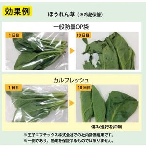 【クリーンルーム内製造】カルフレッシュ抗菌鮮度保持袋　サイズアソート100枚×3セット【1506339】