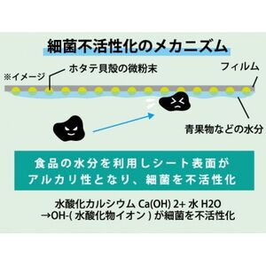【クリーンルーム内製造】カルフレッシュ抗菌鮮度保持袋　サイズアソート100枚×3セット【1506339】