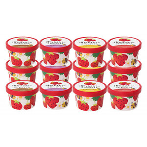 博多あまおうのこだわりアイス【AH-AB5N】【配送不可地域：離島】【1525216】