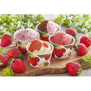 【毎月定期便】アイスいっぱい食べたい人におすすめ!アイス詰め合わせ全4回【配送不可地域:離島】【4066281】