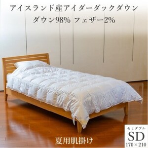 逸品 アイスランド産アイダーダック ダウン98% 夏用肌掛け羽毛ふとん セミダブルサイズ【1457435】