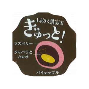 園田学園大学×タカオカチョコレート「贅沢ショコラタイム」 3個セット【配送不可地域:離島】【1635865】