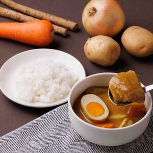 兵庫の恵みと園田学園大学のコラボ商品!「百日どりが恋におちる魅惑の和風スープカレー」　2個セット【1635868】