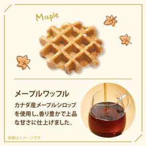 【冷凍便】マネケンベルギーワッフル 冬限定4種お楽しみセット20個入り(TFRB-PChMS20)【配送不可地域：離島】【1681900】