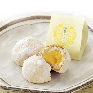 名菓撰、本千鳥さぶれ【尼崎市・西宮市ふるさと納税共通返礼品】【1219903】