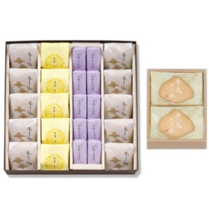 名菓撰、本千鳥さぶれ【尼崎市・西宮市ふるさと納税共通返礼品】【1219903】