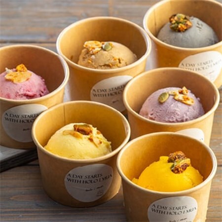 ヴィーガン対応 ローアイス 12種食べ比べセット(低糖質・卵乳小麦砂糖不使用)【配送不可地域：離島】【1285076】