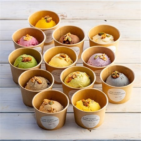 ヴィーガン対応 ローアイス 12種食べ比べセット(低糖質・卵乳小麦砂糖不使用)【配送不可地域：離島】【1285076】