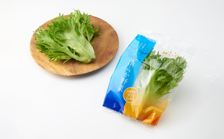 清らか野菜　フリルレタス10個入り【配送不可地域：離島】【1335073】