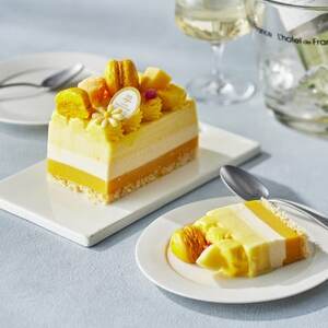 アンリ・シャルパンティエ監修アイスケーキ　ガトーグラス トロピカル 1台(2~3名様)【配送不可地域：離島】【1427250】