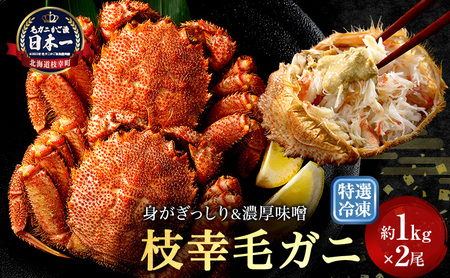 【漁獲量日本一】至福の逸品！特選冷凍「枝幸毛がに」約1kg×2尾 毛蟹 毛ガニ オホーツク 北海道加工食品 地域のお礼の品 カタログ 毛カニ