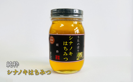 純粋シナノキはちみつ600g 【オホーツク枝幸】【 蜂蜜 ハチミツ はちみつ グルメ お土産  国産はちみつ 健康 北海道 オホーツク 枝幸 】