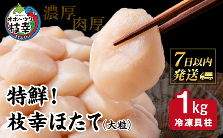 特鮮！枝幸ほたて（大粒）冷凍貝柱1kg（S～2Sサイズ）