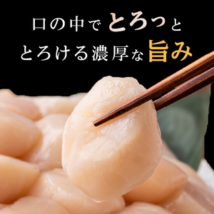 特鮮！枝幸ほたて（大粒）冷凍貝柱1kg（S～2Sサイズ）秋田水産 刺身 魚介 帆立 北海道 超目玉海鮮 魚介類 海の幸