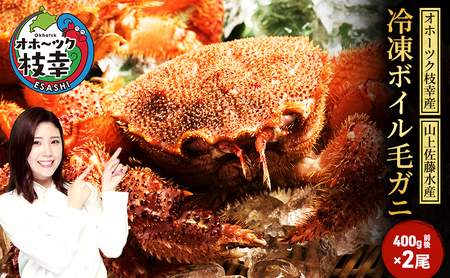 冷凍ボイル毛ガニ 400g前後×2尾［オホーツク枝幸産］山上佐藤水産 【カニ かに 毛ガニ 海鮮 蟹 北海道 オホーツク 枝幸 】