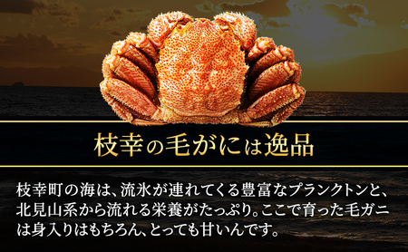 冷凍ボイル毛ガニ 400g前後×2尾［オホーツク枝幸産］山上佐藤水産 【カニ かに 毛ガニ 海鮮 蟹 北海道 オホーツク 枝幸 】
