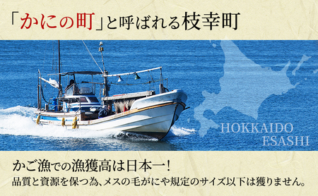 冷凍ボイル毛ガニ 400g前後×2尾［オホーツク枝幸産］山上佐藤水産 【カニ かに 毛ガニ 海鮮 蟹 北海道 オホーツク 枝幸 】