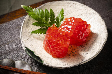 ［数量限定］高田商店の甘塩熟成筋子450g【 すじこ 筋子 鮭 魚貝類 北海道 オホーツク 枝幸 】