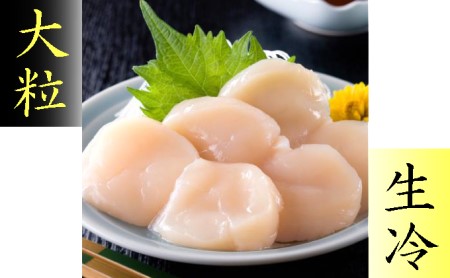 【枝幸ほたて】加工協 大粒冷凍ほたて貝柱1kg