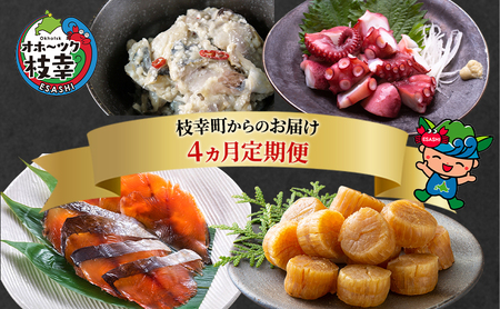 北海道枝幸町からのお届け おつまみにどうぞ！ 定期便4【 ホタテ 貝柱 サクラマス トバ にしん 味付 たこ 北海道 オホーツク 枝幸 】 