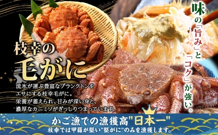 【朝獲れ毛蟹を即ボイル！枝幸漁師の本気毛蟹】大毛ガニ(500g～700g)1尾入【 カニ 蟹 毛ガニ 毛がに 毛蟹 朝茹で 冷凍 北海道 オホーツク 枝幸 】