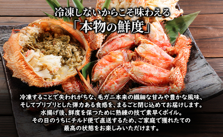 〈冷蔵発送〉流氷明け 枝幸沖 ボイル毛ガニ 1.5kg (2～3尾入) 先行予約【2026年3月頃発送予定】旬の味覚［丸中三興水産］オホーツク枝幸 前浜【 蟹 魚介 北海道 枝幸 】