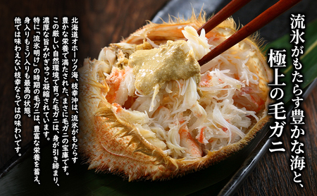 〈冷蔵発送〉流氷明け 枝幸沖 ボイル毛ガニ 1.5kg (2～3尾入) 先行予約【2026年3月頃発送予定】旬の味覚［丸中三興水産］オホーツク枝幸 前浜【 蟹 魚介 北海道 枝幸 】