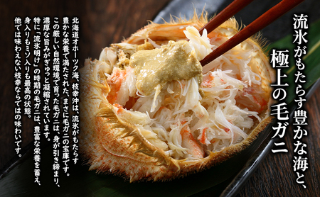 〈冷蔵発送〉流氷明け 枝幸沖 ボイル毛ガニ 2.5kg (4～5尾入) 先行予約【2026年3月頃発送予定】旬の味覚［丸中三興水産］オホーツク枝幸 前浜【 蟹 魚介 北海道 枝幸 】