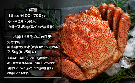 〈冷蔵発送〉流氷明け 枝幸沖 ボイル毛ガニ 2.5kg (4～5尾入) 先行予約【2026年3月頃発送予定】旬の味覚［丸中三興水産］オホーツク枝幸 前浜【 蟹 魚介 北海道 枝幸 】