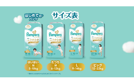 [パンツタイプ] パンパース 「 肌いち 」 2パック[ Pampers おむつ オムツ ] Mたっち：48枚